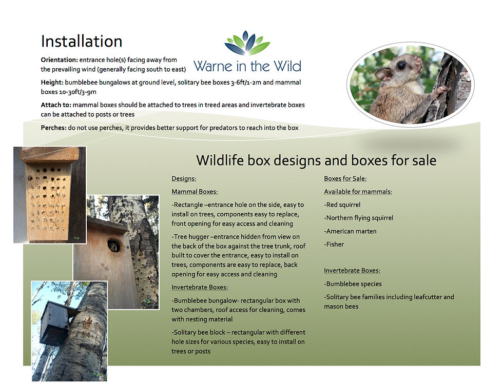 Wildlife Boxes