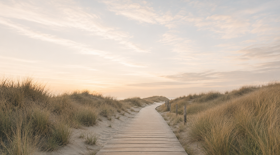 path to paradise.png