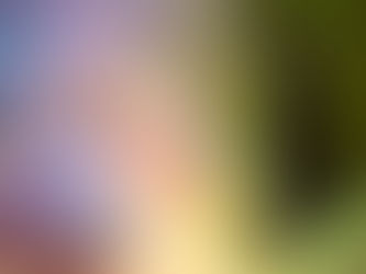 Wicked: Part Two Flies High, But Doesn't Stick the Landing