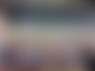 MS Volleyball Wraps Up with Grit and Gold