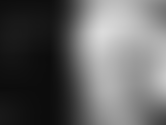 A Warped Sense of Peace: The Ever-Present Nature of Conflict