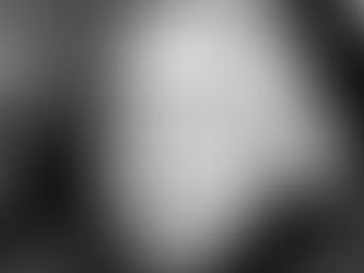 Are Grades a Measure of Intelligence or Compliance?