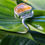 Thumbnail: Wavy Citrine Ring