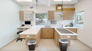 A modern, brightly lit veterinary treatment room featuring wooden cabinetry and light-colored countertops. The room includes a central U-shaped workstation with built-in storage, a stainless steel sink, and exam tables designed for pet care. Trash bins are positioned at the ends of the counters, and a computer station is visible in the background.