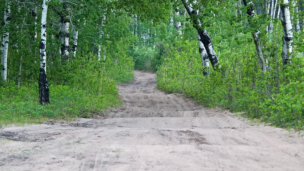 Seminole State Forest Trail