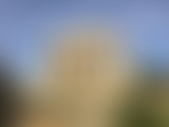 Salviamo la bellezza