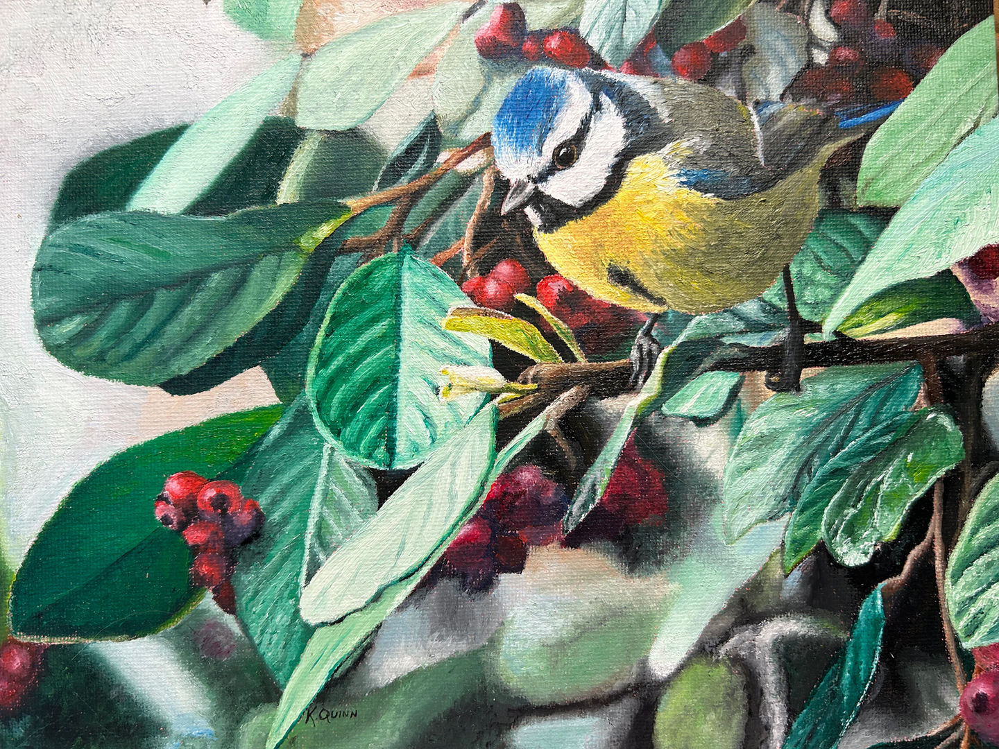 Birds