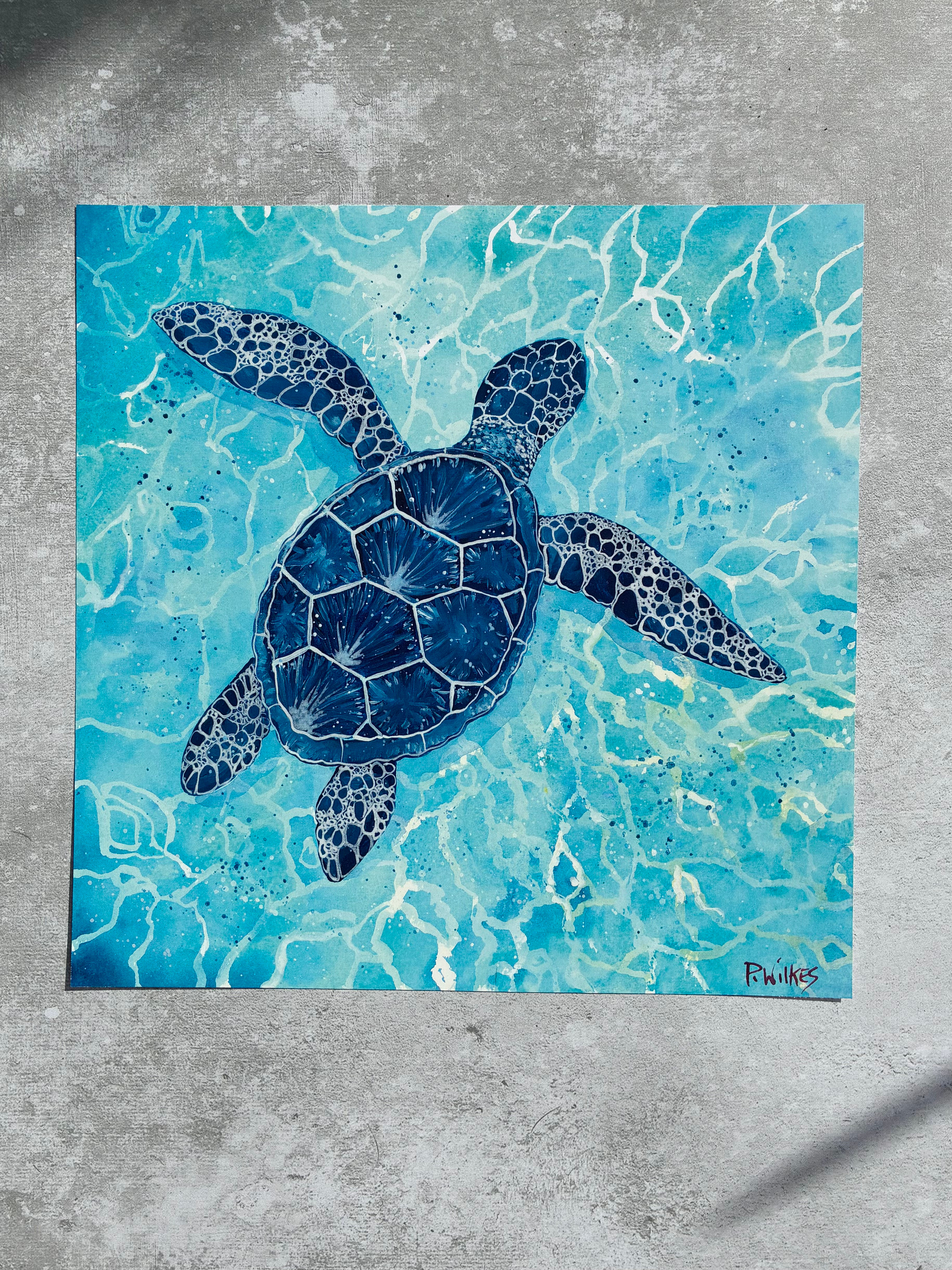 Swimming turtle print
