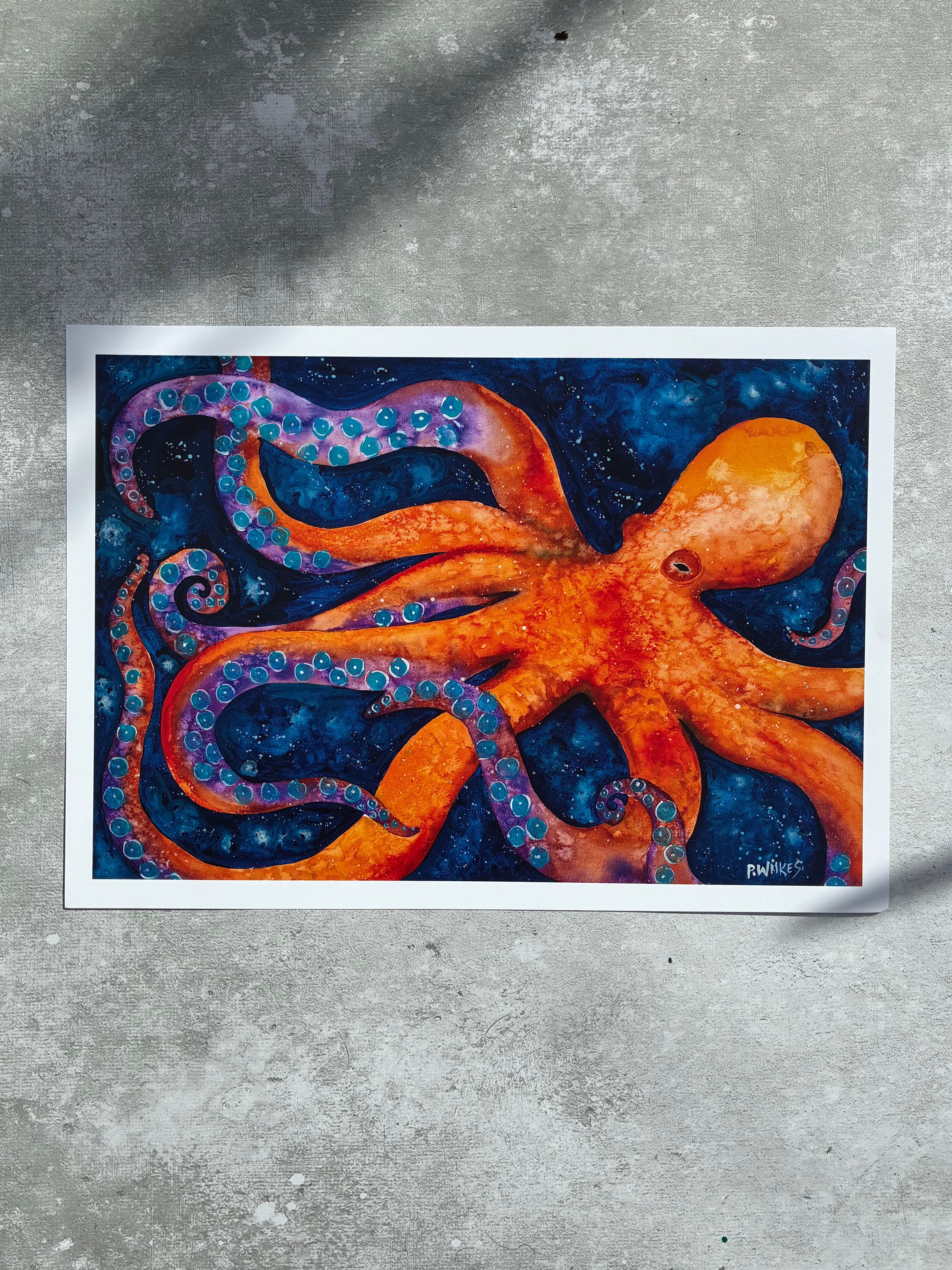 Octopus print