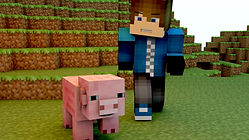 Minecraft Gamers