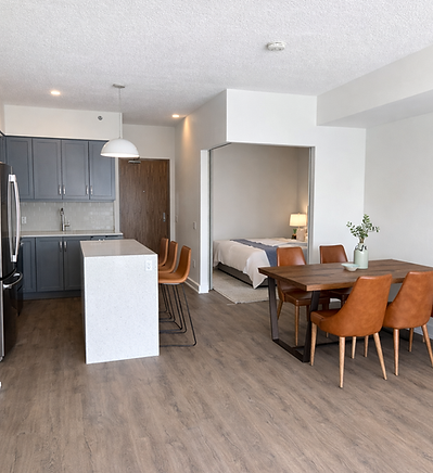 toronto-one-bedroom-condo-renovation-living-room.png