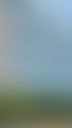 Altia Smart City is Leading BPO Business Support in Honduras