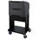 Thumbnail: 2 Drawer Diagnostic Service Cart - Grey