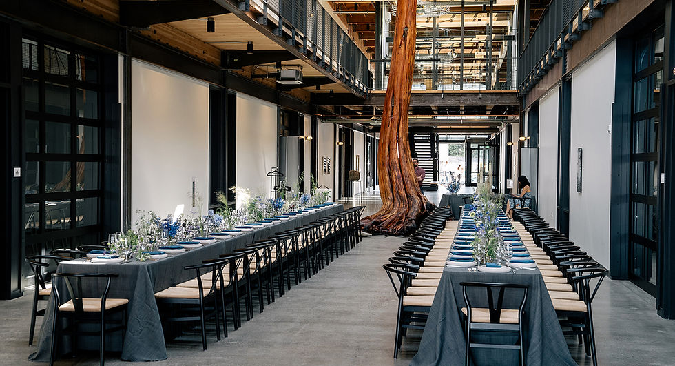 Canal Yards banner.jpg