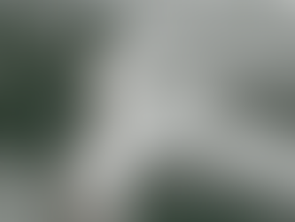 Kaderin İlk ve Son Gecesi - Öykü