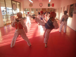 TAEKWONDO PLAZA DEL ANGEL