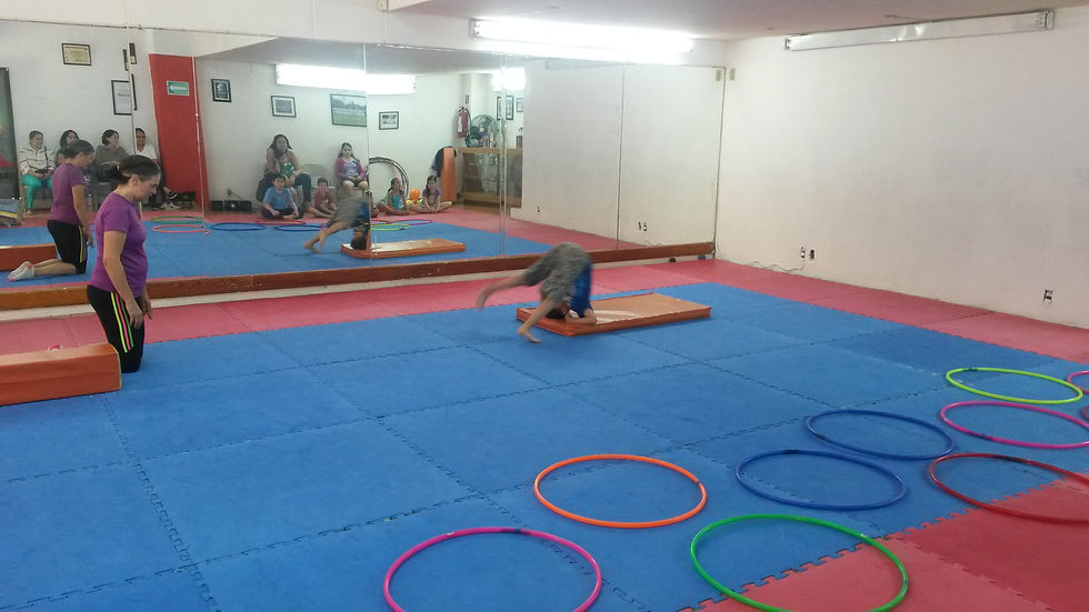 ACROBACIA Y ACONDICIONAMIENTO TAEKWONDO (6).jpg