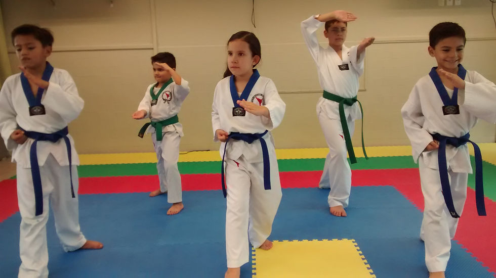 TAEKWONDO PROF. TONATIUH