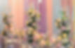 Opal set up wide shot.jpg