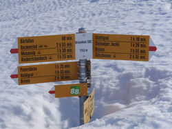 Glattigrat20090404_03 (1).JPG