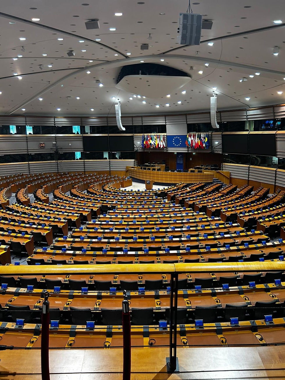 L'Emiciclo del Parlamento europeo