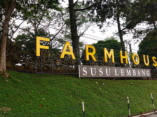 Farmhouse: Destinasi Wisata Ikonik dari Bandung