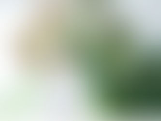 「HANEDA SKY LIVE 池田綾子」開催決定!