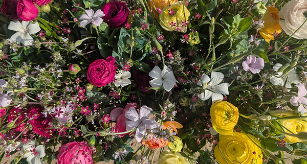 2025 spring bouquet_edited.jpg