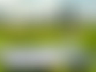 Possibilidade de reversão do descomissionamento no licenciamento ambiental