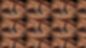 Black Bird.001.jpeg