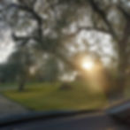 Scenery_BBF_edited