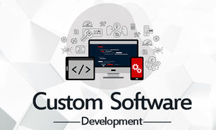 What Makes a Custom Software Developer in India a Smart Choice?