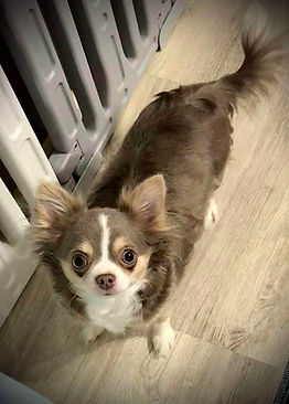 5A019201-86C6-4A27-83A1-823378A77BC5_edi