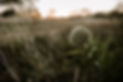 AA0I9308.jpg