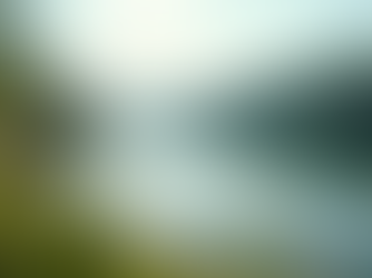 Superando a Ansiedade: Dicas Práticas para Você