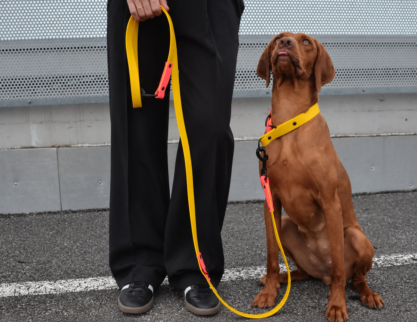 Adjustable leash YELLOW-PINK