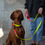 Thumbnail: Leash NEON-PINK