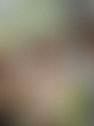 Future-proof Your Career with the Right Business Degree in Singapore