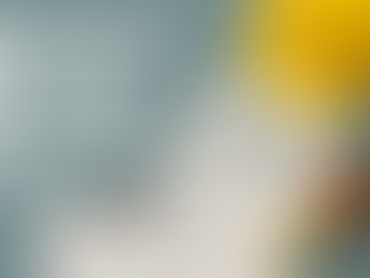 Construction Contracts: FIDIC & Risk Allocation – A Comprehensive Guide