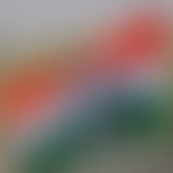 गुजरात में युवाओं पर कांग्रेस का दांव पड़ा फीका :- मतदान