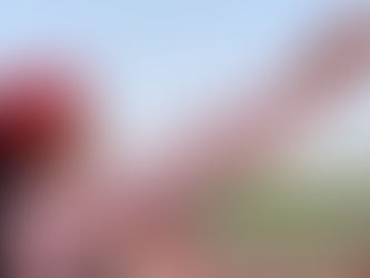 यूपी विधानसभा चुनाव 2022: समाजवादी पार्टी के पोस्टर में 10 लाख नौकरियों का आश्वासन, 300 यूनिट मुफ्त