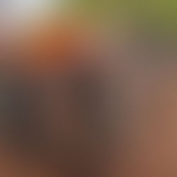 छत्तीसगढ़ के बीजापुर में नक्सिलयों का बड़ा हमला