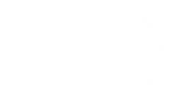 pngwing.com-12.png