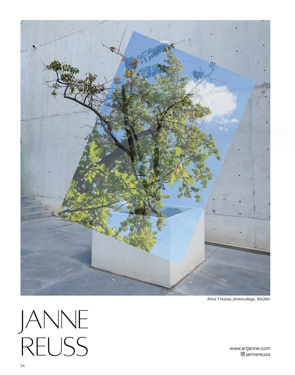 Artsy, photocollage, marigold flower, flower suspended in space, one hum, selected work, architecture and nature, juxtaposition between nature and  an urban setting, meditation, contemplative art.