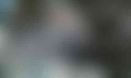 Midnight Migration, 21.5" x 35.5", 2019