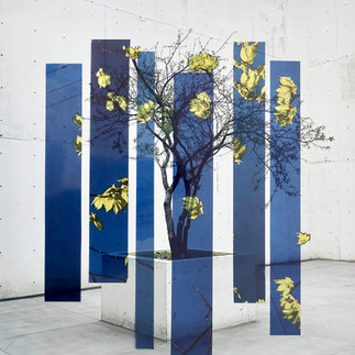 You My Tree II, 26" x 26", 2021, original