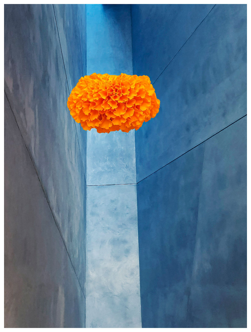 One Hum, 2025 Photocollage Fine Art Print on Baryta Photo Paper 40’’ x 30’’ ed. 1/20