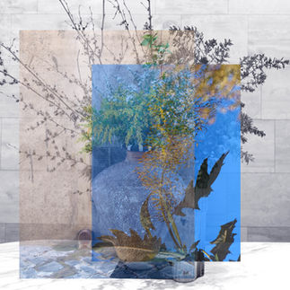 Aqua, 26'' x 30'', 2025, 10 editions
