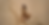 banner oro nero (1).png