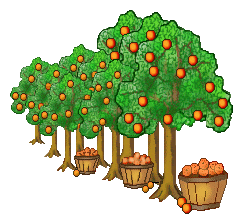 Orange Tree 2.gif